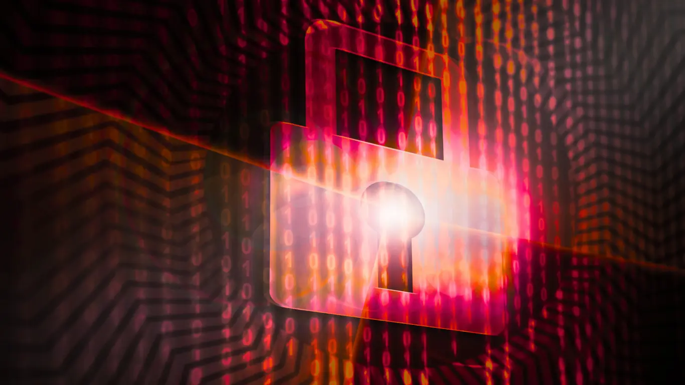 Protectia datelor salonului — control asupra istoricului si stergerii din IziBook